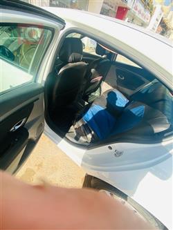 رينو فلوينس